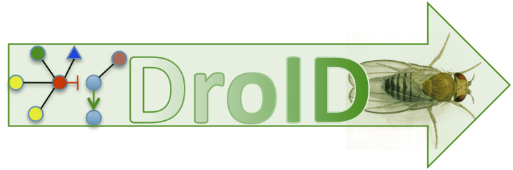 DroIDlogo